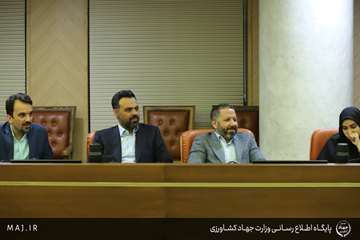 IMG_2091 copy
